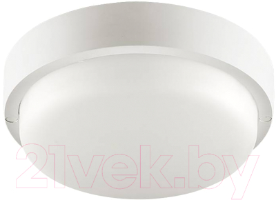 Светильник ЖКХ Wolta LCL04-8W-R01-4K