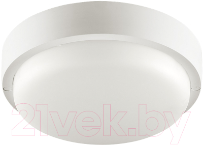 Светильник ЖКХ Wolta LCL04-18W-R21-6K-SM - фото