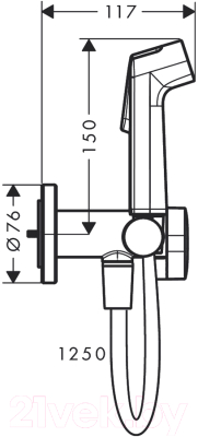 Гигиенический душ Hansgrohe 29232000