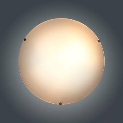 Потолочный светильник Элетех Этруска 300 НПБ 01-2x60-139 М16 / 1005206096