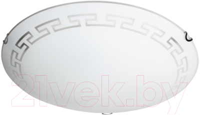 Потолочный светильник Элетех Этруска 400 НПБ 06-3х60 М65 / 1005206098 (матовый белый/хром) - фото