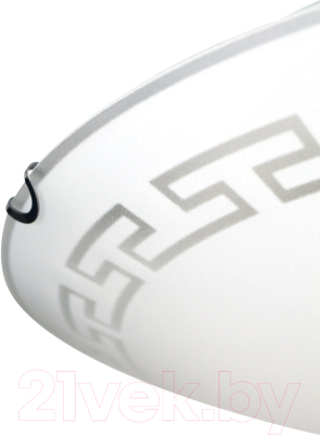 Потолочный светильник Элетех Этруска 400 НПБ 06-3х60 М65 / 1005206098 (матовый белый/хром)