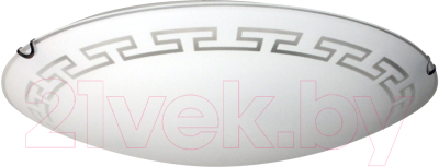 Потолочный светильник Элетех Этруска 400 НПБ 06-3х60 М65 / 1005206098 (матовый белый/хром)