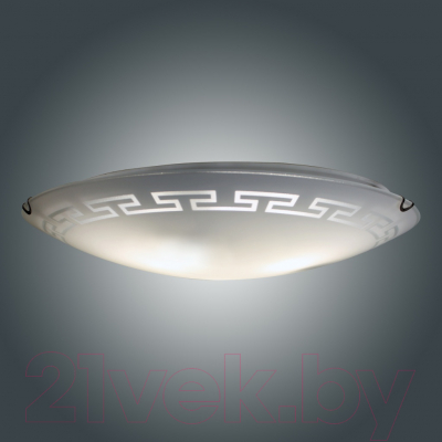 Потолочный светильник Элетех Этруска 400 НПБ 06-3х60 М65 / 1005206098 (матовый белый/хром)