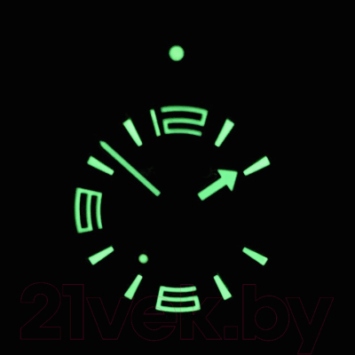 Часы наручные мужские Восток 740387