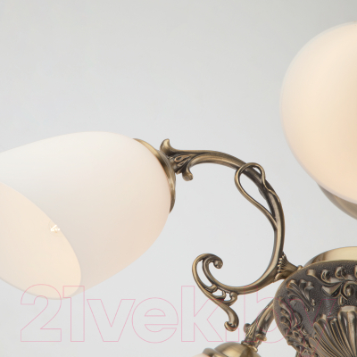 Люстра Евросвет Ariele 22010/5