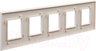 Рамка для выключателей и розеток DKC Avanti / 4405900