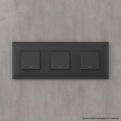 Рамка для выключателей и розеток DKC Avanti / 4412906
