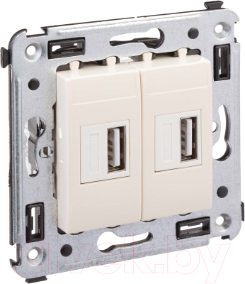 Розетка DKC Avanti USB 4405543 - фото