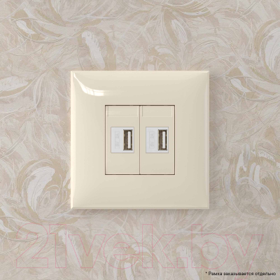 Розетка DKC Avanti USB 4405543