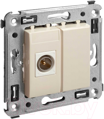 Розетка DKC Avanti / 4405503 - фото