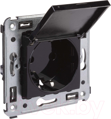 Розетка DKC Avanti / 4402013 - фото