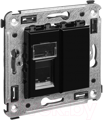 Розетка DKC Avanti RJ-12 / 4402313 - фото