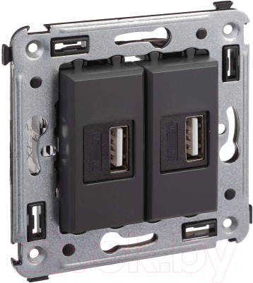 Розетка DKC Avanti USB 4412543 - фото