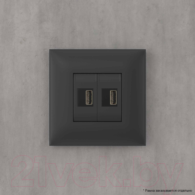 Розетка DKC Avanti USB 4412543