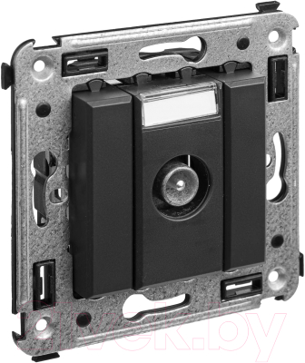 Розетка DKC Avanti / 4412513 - фото