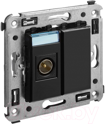 Розетка DKC Avanti / 4402503 - фото