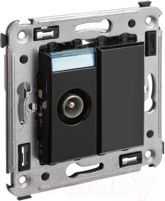 Розетка DKC Avanti / 4402513 - фото