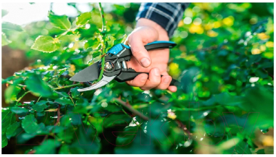 Секатор механический Cellfast Ergo 41-020