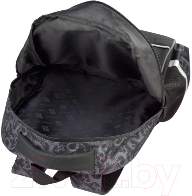 Школьный рюкзак Феникс+ Мастер драконов / 61268