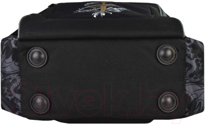 Школьный рюкзак Феникс+ Мастер драконов / 61268