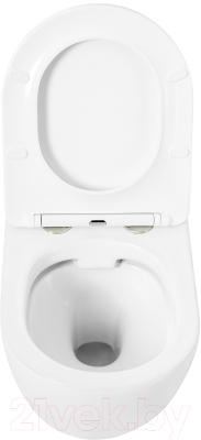 Унитаз подвесной Cezares CZR-513-TH-R/CZR-2316-SC