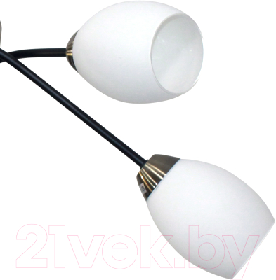 Люстра Элетех 21267В-3/6 НПБ 01-6х60-120 Е27 / 1005404904