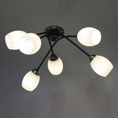 Люстра Элетех 21267В-3/6 НПБ 01-6х60-120 Е27 / 1005404904