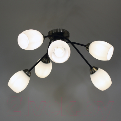 Люстра Элетех 21267В-3/6 НПБ 01-6х60-120 Е27 / 1005404904