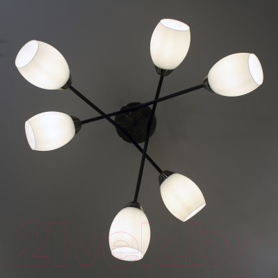 Люстра Элетех 21267В-3/6 НПБ 01-6х60-120 Е27 / 1005404904