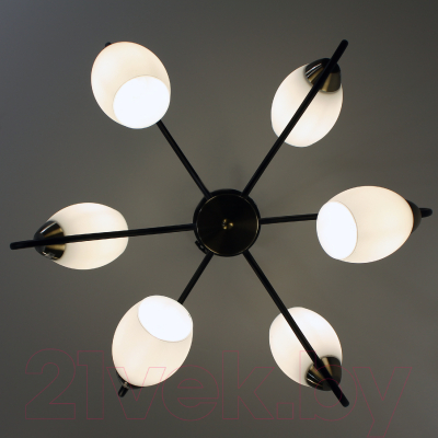 Люстра Элетех 21270В-2/6 НПБ 01-6х60-121 Е27 / 1005404905