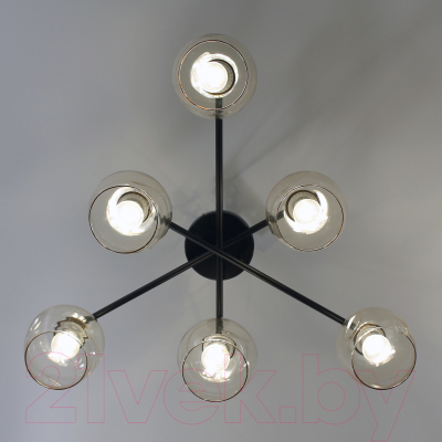 Люстра Элетех 21271В-4/6 НПБ 01-6х60-118 Е27 / 1005404911