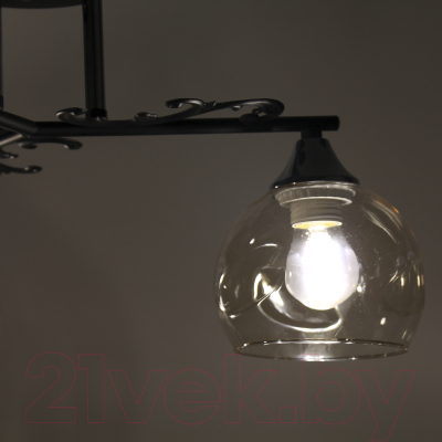 Люстра Элетех 21277В-2/3 НПБ 01-3х60-209 Е27 / 1005404913