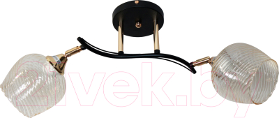 Потолочный светильник Элетех 21305-2/2 НПБ 01-2х60-139 Е27 / 1005404937 - фото