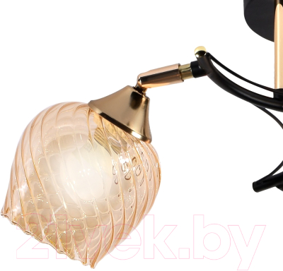 Люстра Элетех 21305-2/3 НПБ 01-3х60-219 Е27 / 1005404938