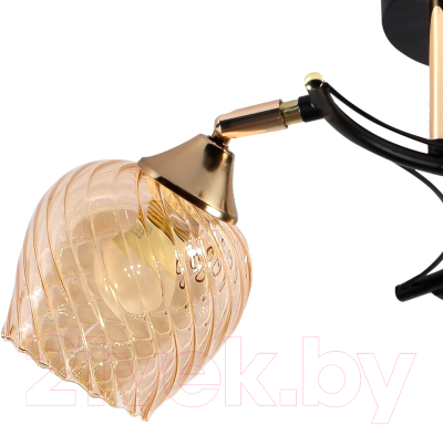 Люстра Элетех 21305-2/3 НПБ 01-3х60-219 Е27 / 1005404938