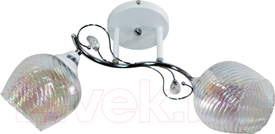 Потолочный светильник Элетех 21306-7/2 НПБ 01-2х60-136 Е27 / 1005404940 - фото