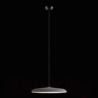 Потолочный светильник Loftit Plato 10119