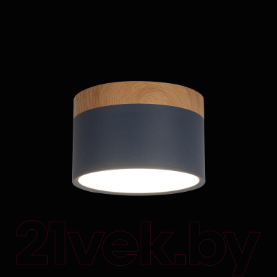 Точечный светильник Loftit Grape 10162