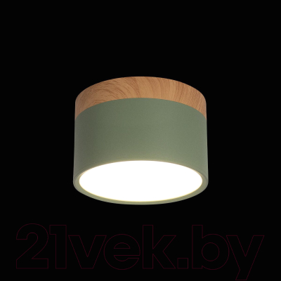 Точечный светильник Loftit Grape 10162