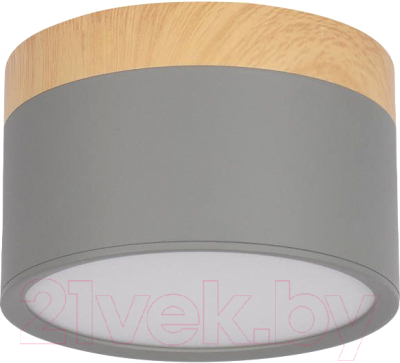 Точечный светильник Loftit Grape 10162 - фото