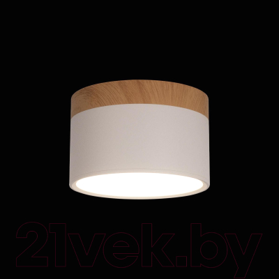 Точечный светильник Loftit Grape 10162