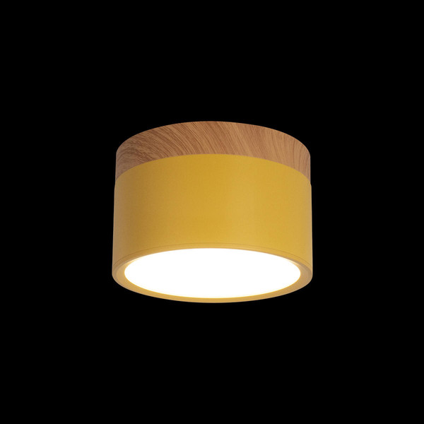 Точечный светильник Loftit Grape 10162 - фото