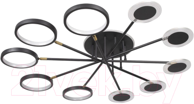 Люстра Loftit Megan 10164M (черный) - фото
