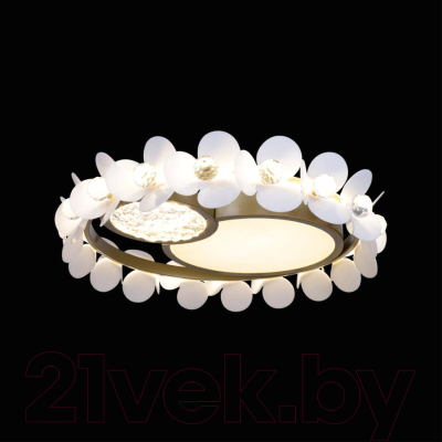 Потолочный светильник Loftit Bride 10173