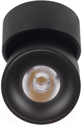 Потолочный светильник Loftit Tictac 10180 (черный)