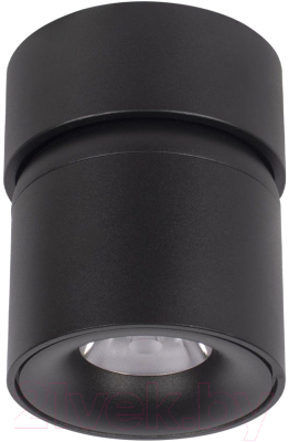 Потолочный светильник Loftit Tictac 10180 (черный)