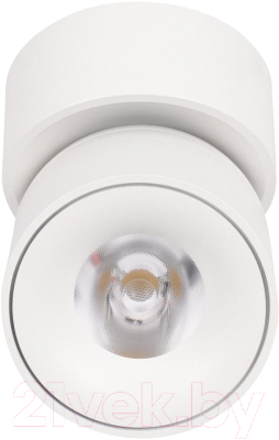 Потолочный светильник Loftit Tictac 10180