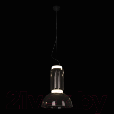 Потолочный светильник Loftit Noctambule 10192/S