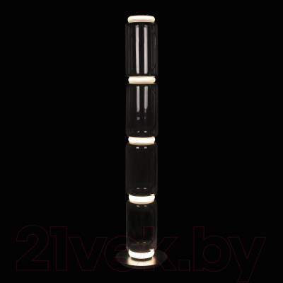 Торшер Loftit Noctambule 10194F/L